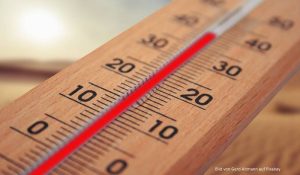 Read more about the article Steigende Temperaturen: So schützen Sie sich