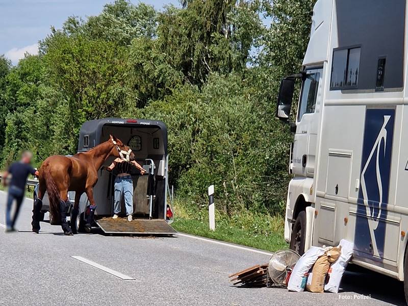 Read more about the article Neustadt in Holstein – Pferdetransporter gerät an Leitplanke – Aufregender Einsatz auf der Autobahn