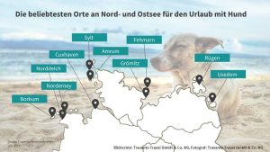 Read more about the article Urlaub mit Hund: Die beliebtesten Orte an Nord- und Ostsee im Vergleich