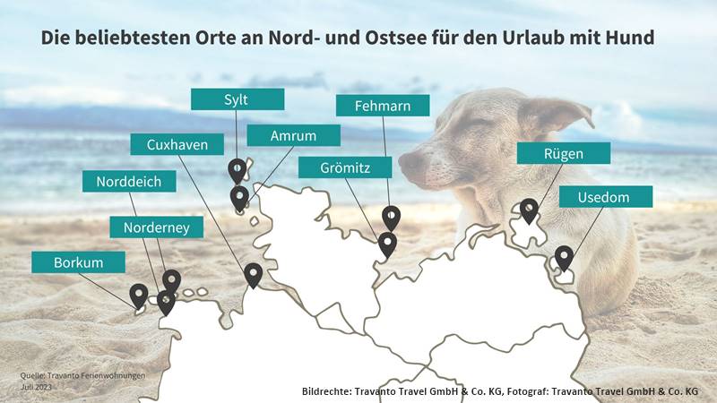 You are currently viewing Urlaub mit Hund: Die beliebtesten Orte an Nord- und Ostsee im Vergleich