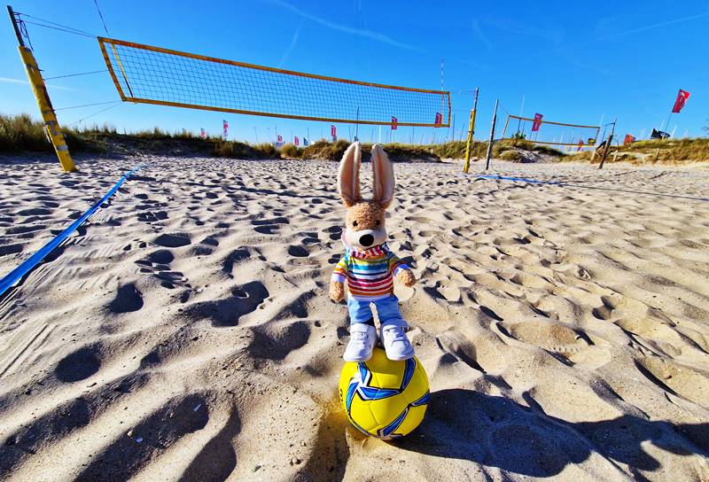 Mehr über den Artikel erfahren Toni und Volleyball am Strand
