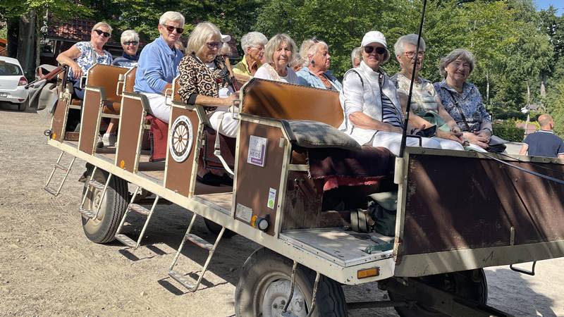 Du betrachtest gerade Auf in die Lüneburger Heide